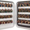 Fly Fishing Flies, 40pcs Fly Fishing Assortments for Trout/Bass, Dry/Wet Flies, Nymphs with Box Hook Size 8#